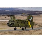 Model of a green military Boeing CH-47 Chinook helicopter with "EJÉRCITO" markings and Argentine flag on tail